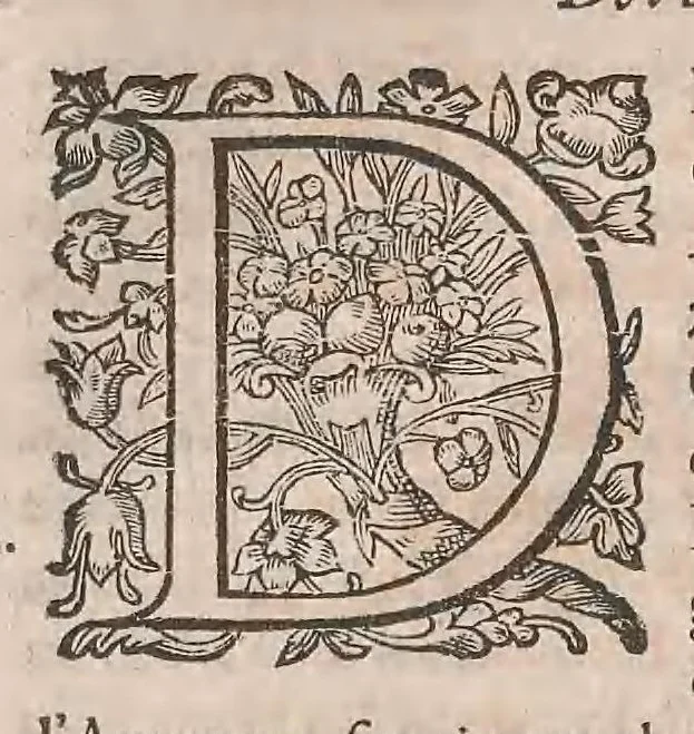 An illustration from Histoire generale des plantes : contenant XVIII livres egalement de partis en deux tomes, 1653, leaf 680