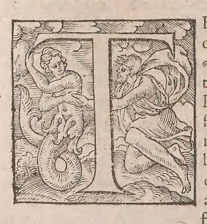 An illustration from Histoire generale des plantes : contenant XVIII livres egalement de partis en deux tomes, 1653, leaf 762
