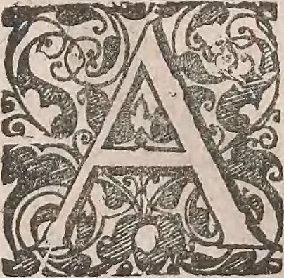 An illustration from Historiae naturalis de quadrupetibus libri : cum aeneis figuris; [Historiae naturalis de serpentibus libri II ; Historiae naturalis de insectis libri III ; Historiae naturalis de exanguibus aquaticis libri IV ; Historiae naturalis de piscibus et cetis libri V ; Historiae naturalis de avibus libri VI], 1650, leaf 103