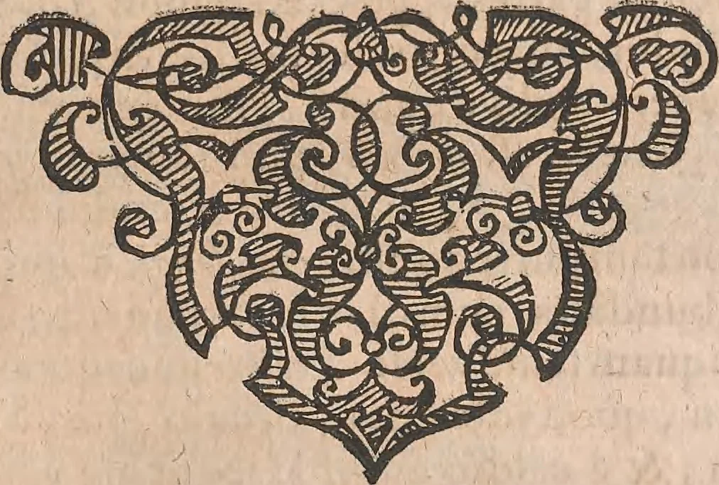 An illustration from Historiae naturalis de quadrupetibus libri : cum aeneis figuris; [Historiae naturalis de serpentibus libri II ; Historiae naturalis de insectis libri III ; Historiae naturalis de exanguibus aquaticis libri IV ; Historiae naturalis de piscibus et cetis libri V ; Historiae naturalis de avibus libri VI], 1650, leaf 1040