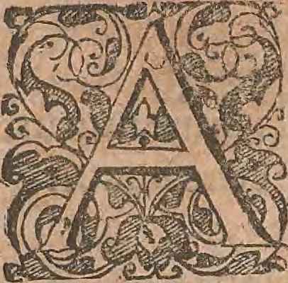 An illustration from Historiae naturalis de quadrupetibus libri : cum aeneis figuris; [Historiae naturalis de serpentibus libri II ; Historiae naturalis de insectis libri III ; Historiae naturalis de exanguibus aquaticis libri IV ; Historiae naturalis de piscibus et cetis libri V ; Historiae naturalis de avibus libri VI], 1650, leaf 14
