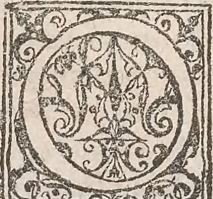 An illustration from Historiae naturalis de quadrupetibus libri : cum aeneis figuris; [Historiae naturalis de serpentibus libri II ; Historiae naturalis de insectis libri III ; Historiae naturalis de exanguibus aquaticis libri IV ; Historiae naturalis de piscibus et cetis libri V ; Historiae naturalis de avibus libri VI], 1650, leaf 221
