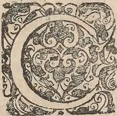 An illustration from Historiae naturalis de quadrupetibus libri : cum aeneis figuris; [Historiae naturalis de serpentibus libri II ; Historiae naturalis de insectis libri III ; Historiae naturalis de exanguibus aquaticis libri IV ; Historiae naturalis de piscibus et cetis libri V ; Historiae naturalis de avibus libri VI], 1650, leaf 250