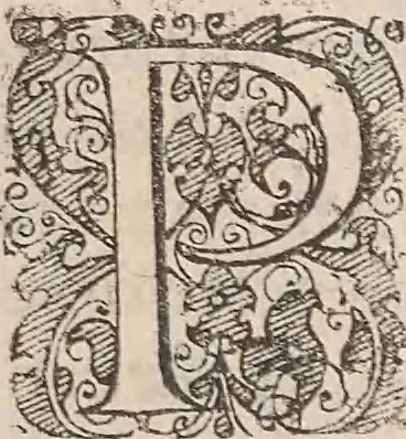 An illustration from Historiae naturalis de quadrupetibus libri : cum aeneis figuris; [Historiae naturalis de serpentibus libri II ; Historiae naturalis de insectis libri III ; Historiae naturalis de exanguibus aquaticis libri IV ; Historiae naturalis de piscibus et cetis libri V ; Historiae naturalis de avibus libri VI], 1650, leaf 282