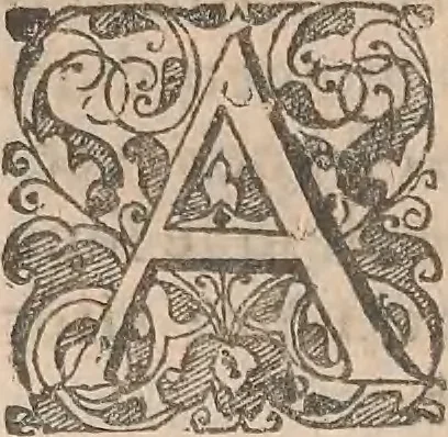 An illustration from Historiae naturalis de quadrupetibus libri : cum aeneis figuris; [Historiae naturalis de serpentibus libri II ; Historiae naturalis de insectis libri III ; Historiae naturalis de exanguibus aquaticis libri IV ; Historiae naturalis de piscibus et cetis libri V ; Historiae naturalis de avibus libri VI], 1650, leaf 346