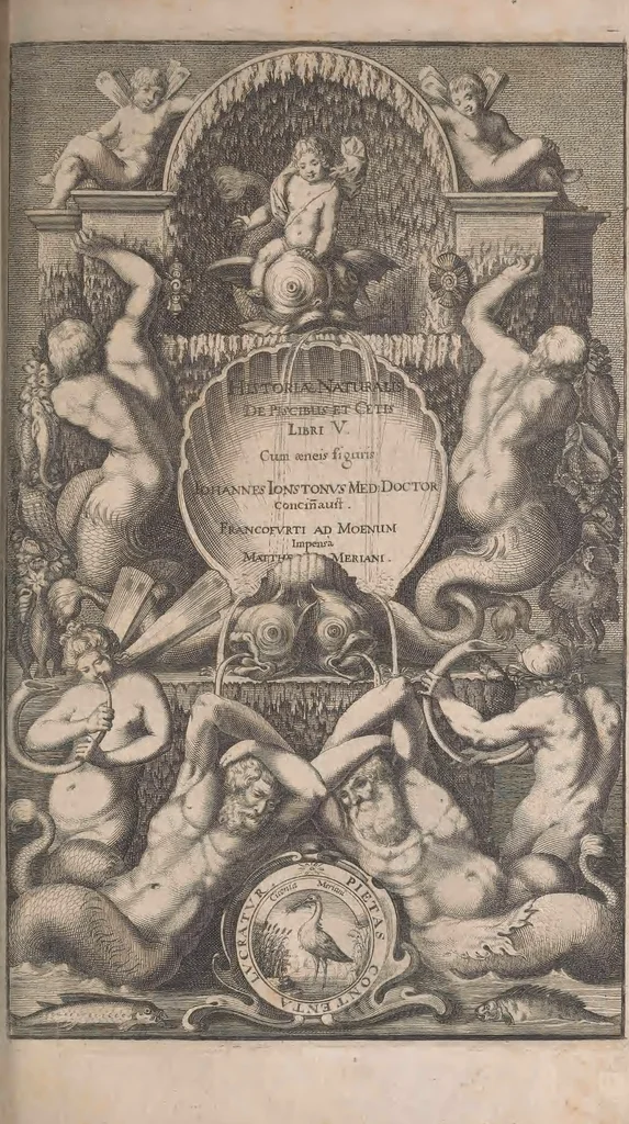 An illustration from Historiae naturalis de quadrupetibus libri : cum aeneis figuris; [Historiae naturalis de serpentibus libri II ; Historiae naturalis de insectis libri III ; Historiae naturalis de exanguibus aquaticis libri IV ; Historiae naturalis de piscibus et cetis libri V ; Historiae naturalis de avibus libri VI], 1650, leaf 366