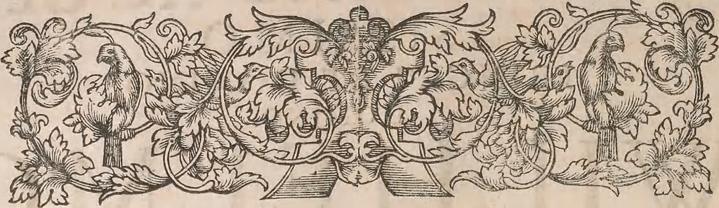 An illustration from Historiae naturalis de quadrupetibus libri : cum aeneis figuris; [Historiae naturalis de serpentibus libri II ; Historiae naturalis de insectis libri III ; Historiae naturalis de exanguibus aquaticis libri IV ; Historiae naturalis de piscibus et cetis libri V ; Historiae naturalis de avibus libri VI], 1650, leaf 369