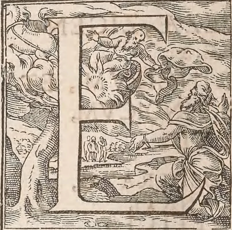 An illustration from Historiae naturalis de quadrupetibus libri : cum aeneis figuris; [Historiae naturalis de serpentibus libri II ; Historiae naturalis de insectis libri III ; Historiae naturalis de exanguibus aquaticis libri IV ; Historiae naturalis de piscibus et cetis libri V ; Historiae naturalis de avibus libri VI], 1650, leaf 369