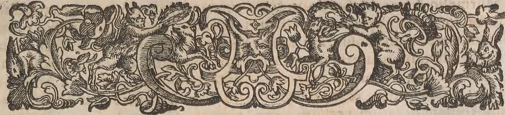An illustration from Historiae naturalis de quadrupetibus libri : cum aeneis figuris; [Historiae naturalis de serpentibus libri II ; Historiae naturalis de insectis libri III ; Historiae naturalis de exanguibus aquaticis libri IV ; Historiae naturalis de piscibus et cetis libri V ; Historiae naturalis de avibus libri VI], 1650, leaf 372
