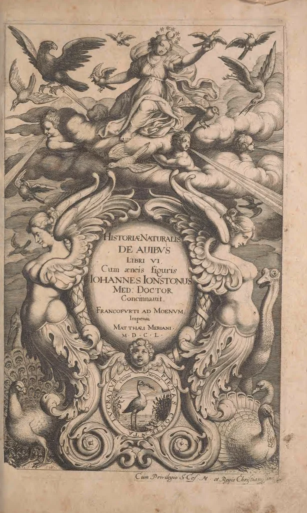 An illustration from Historiae naturalis de quadrupetibus libri : cum aeneis figuris; [Historiae naturalis de serpentibus libri II ; Historiae naturalis de insectis libri III ; Historiae naturalis de exanguibus aquaticis libri IV ; Historiae naturalis de piscibus et cetis libri V ; Historiae naturalis de avibus libri VI], 1650, leaf 4