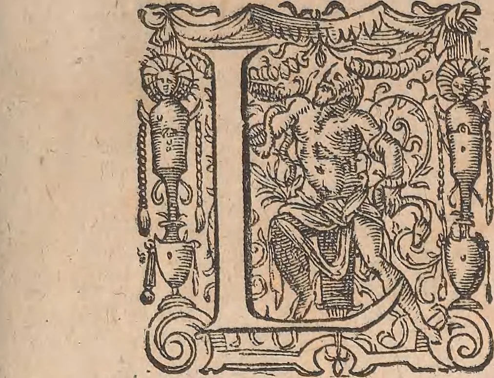 An illustration from Historiae naturalis de quadrupetibus libri : cum aeneis figuris; [Historiae naturalis de serpentibus libri II ; Historiae naturalis de insectis libri III ; Historiae naturalis de exanguibus aquaticis libri IV ; Historiae naturalis de piscibus et cetis libri V ; Historiae naturalis de avibus libri VI], 1650, leaf 6