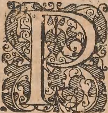 An illustration from Historiae naturalis de quadrupetibus libri : cum aeneis figuris; [Historiae naturalis de serpentibus libri II ; Historiae naturalis de insectis libri III ; Historiae naturalis de exanguibus aquaticis libri IV ; Historiae naturalis de piscibus et cetis libri V ; Historiae naturalis de avibus libri VI], 1650, leaf 678