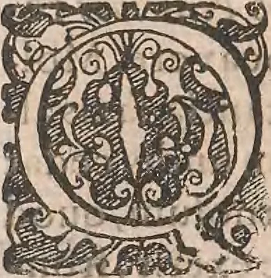 An illustration from Historiae naturalis de quadrupetibus libri : cum aeneis figuris; [Historiae naturalis de serpentibus libri II ; Historiae naturalis de insectis libri III ; Historiae naturalis de exanguibus aquaticis libri IV ; Historiae naturalis de piscibus et cetis libri V ; Historiae naturalis de avibus libri VI], 1650, leaf 793