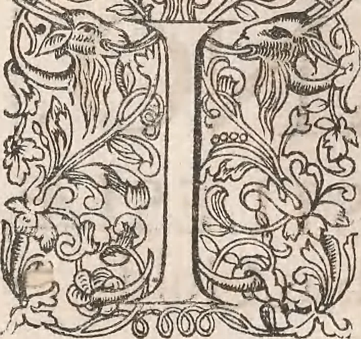 An illustration from Historiae naturalis de quadrupetibus libri : cum aeneis figuris; [Historiae naturalis de serpentibus libri II ; Historiae naturalis de insectis libri III ; Historiae naturalis de exanguibus aquaticis libri IV ; Historiae naturalis de piscibus et cetis libri V ; Historiae naturalis de avibus libri VI], 1650, leaf 821