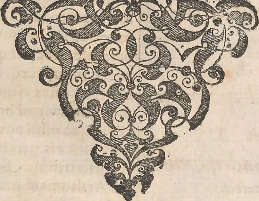 An illustration from Historiae naturalis de quadrupetibus libri : cum aeneis figuris; [Historiae naturalis de serpentibus libri II ; Historiae naturalis de insectis libri III ; Historiae naturalis de exanguibus aquaticis libri IV ; Historiae naturalis de piscibus et cetis libri V ; Historiae naturalis de avibus libri VI], 1650, leaf 824