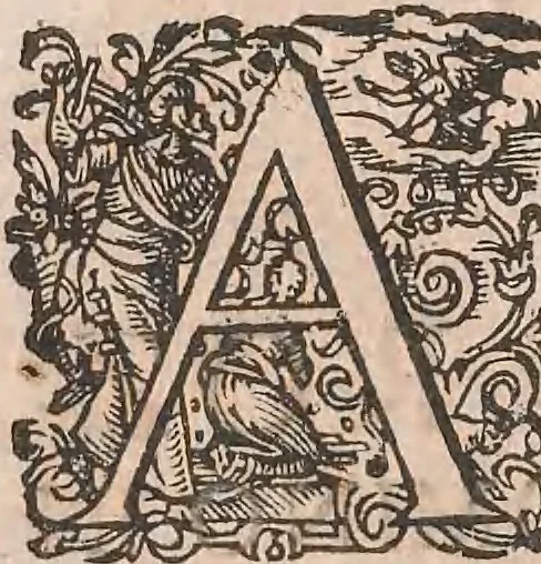 An illustration from Historiae naturalis de quadrupetibus libri : cum aeneis figuris; [Historiae naturalis de serpentibus libri II ; Historiae naturalis de insectis libri III ; Historiae naturalis de exanguibus aquaticis libri IV ; Historiae naturalis de piscibus et cetis libri V ; Historiae naturalis de avibus libri VI], 1650, leaf 9