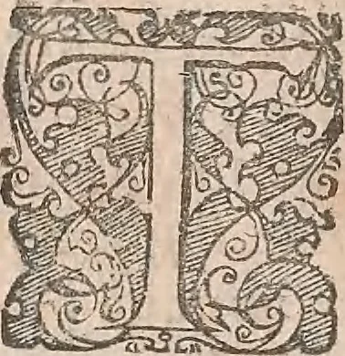 An illustration from Historiae naturalis de quadrupetibus libri : cum aeneis figuris; [Historiae naturalis de serpentibus libri II ; Historiae naturalis de insectis libri III ; Historiae naturalis de exanguibus aquaticis libri IV ; Historiae naturalis de piscibus et cetis libri V ; Historiae naturalis de avibus libri VI], 1650, leaf 965