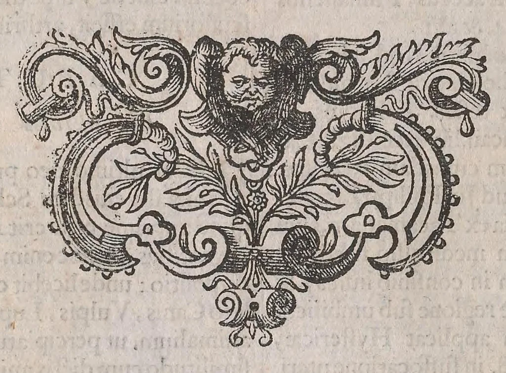 An illustration from Historiae naturalis de quadrupedibus libri : cum aeneis figuris, 1657, leaf 338