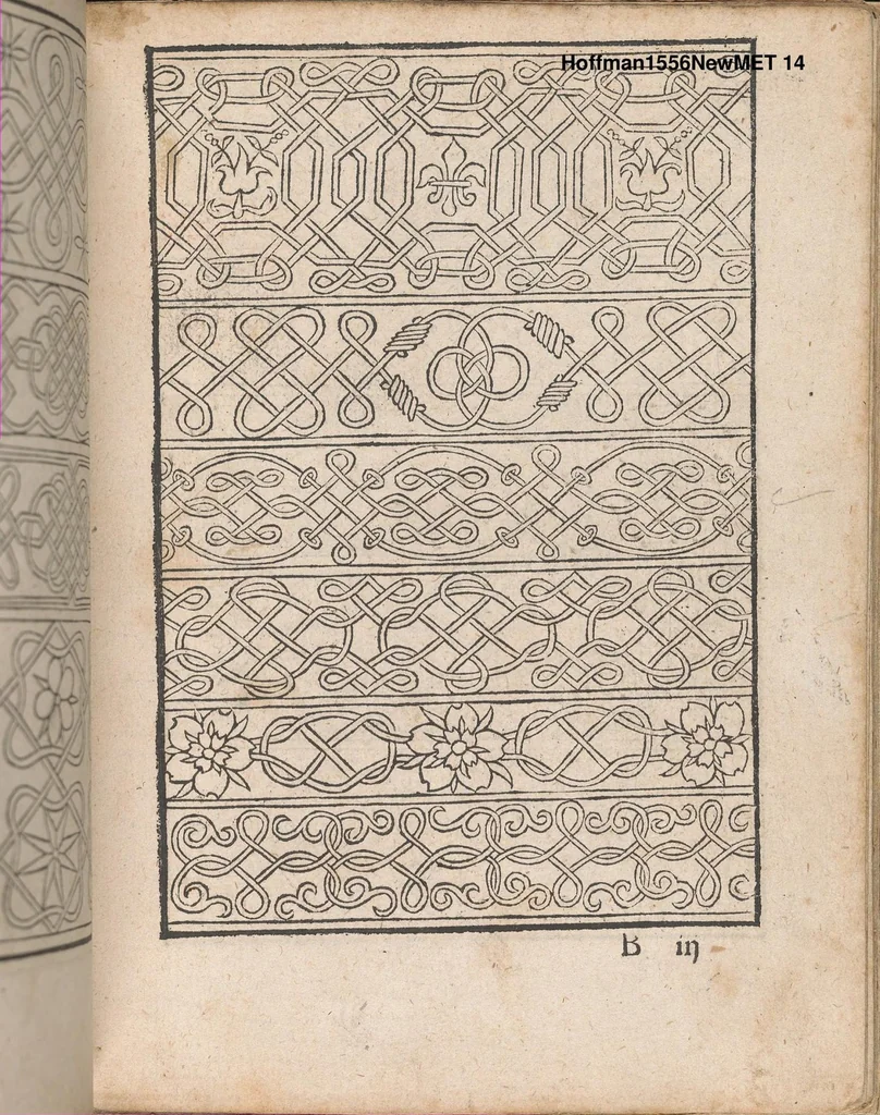 An illustration from New Modelbuch. Allen Nagerin unnd Sydenstickern Sehr nutzlich zu brauchen., 1556, leaf 13