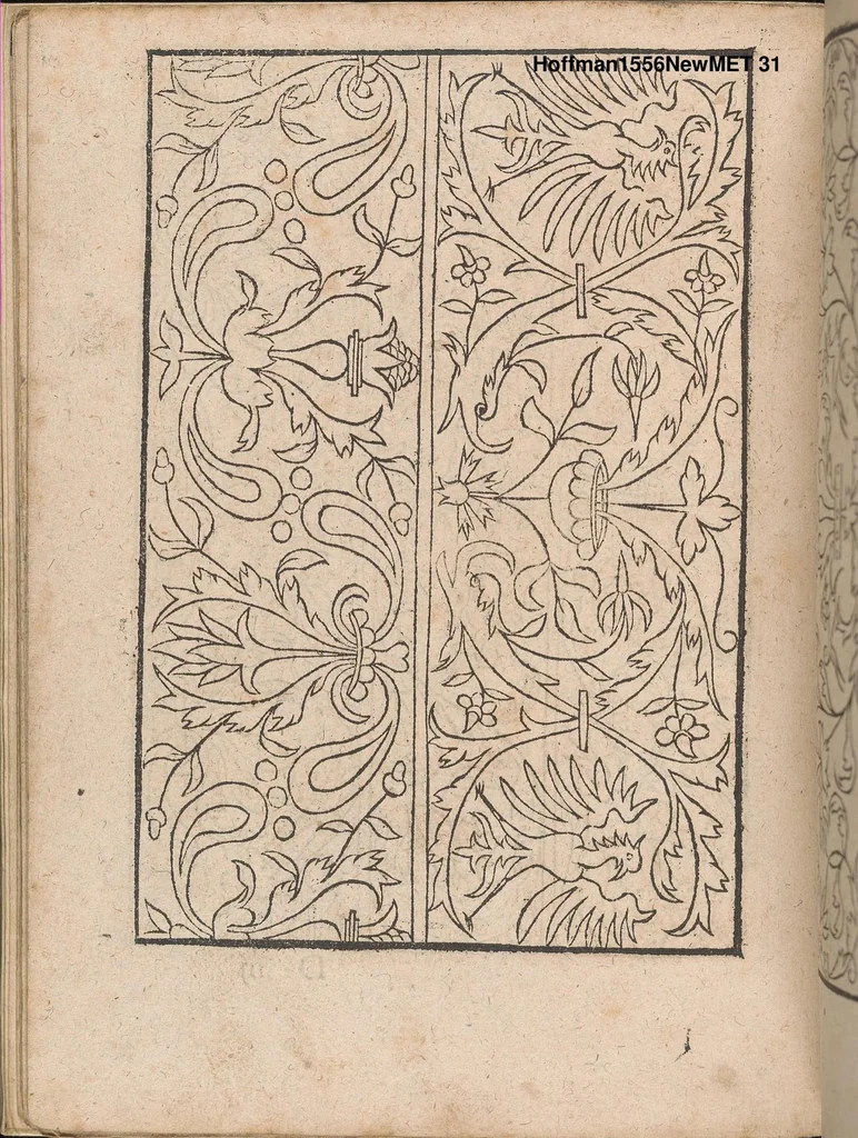 An illustration from New Modelbuch. Allen Nagerin unnd Sydenstickern Sehr nutzlich zu brauchen., 1556, leaf 30