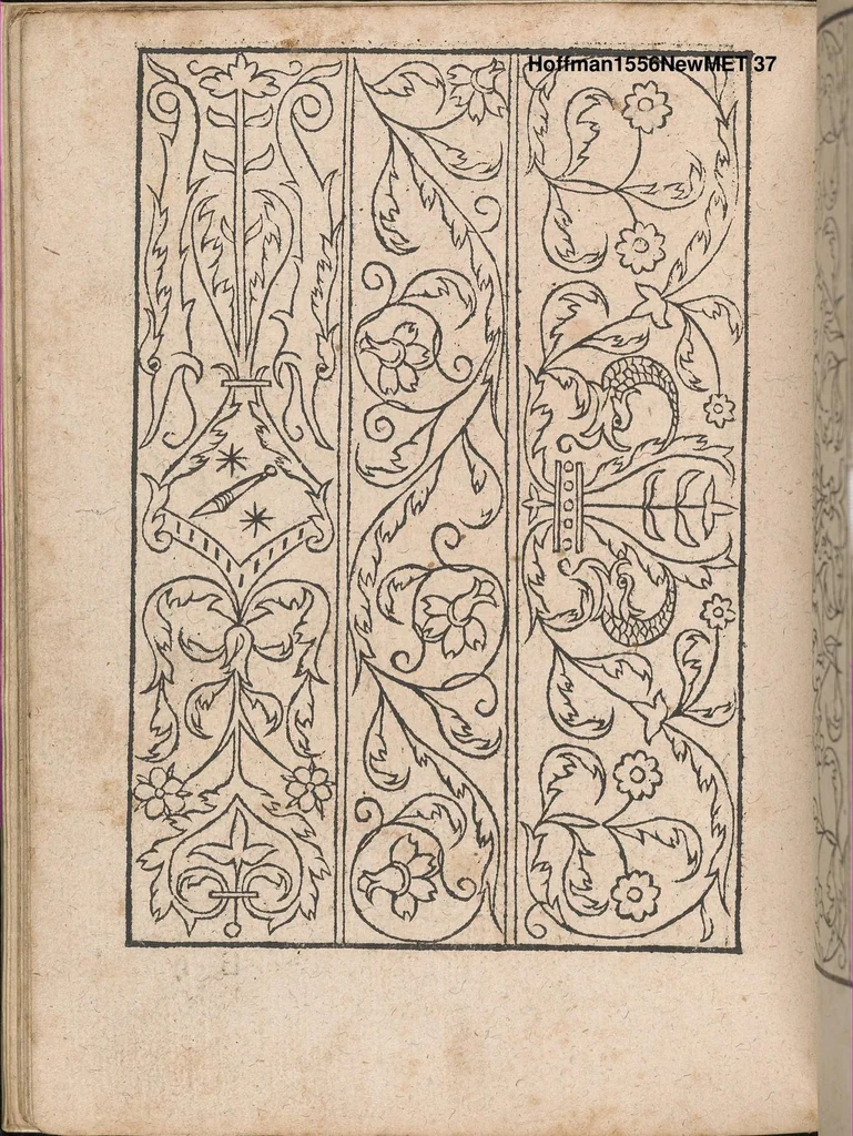 An illustration from New Modelbuch. Allen Nagerin unnd Sydenstickern Sehr nutzlich zu brauchen., 1556, leaf 36