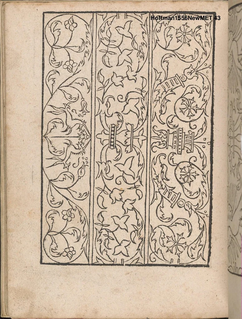 An illustration from New Modelbuch. Allen Nagerin unnd Sydenstickern Sehr nutzlich zu brauchen., 1556, leaf 42