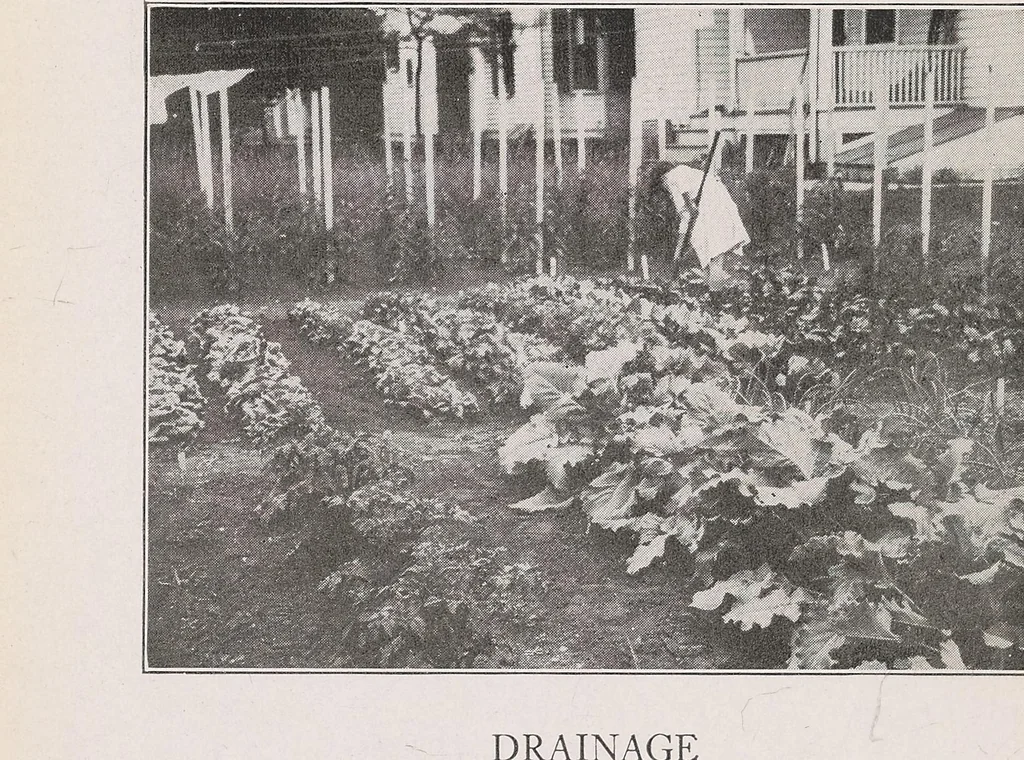 An illustration from Home vegetable gardening from A to Z, with special reference to Pacific coast conditions, 1918, leaf 16
