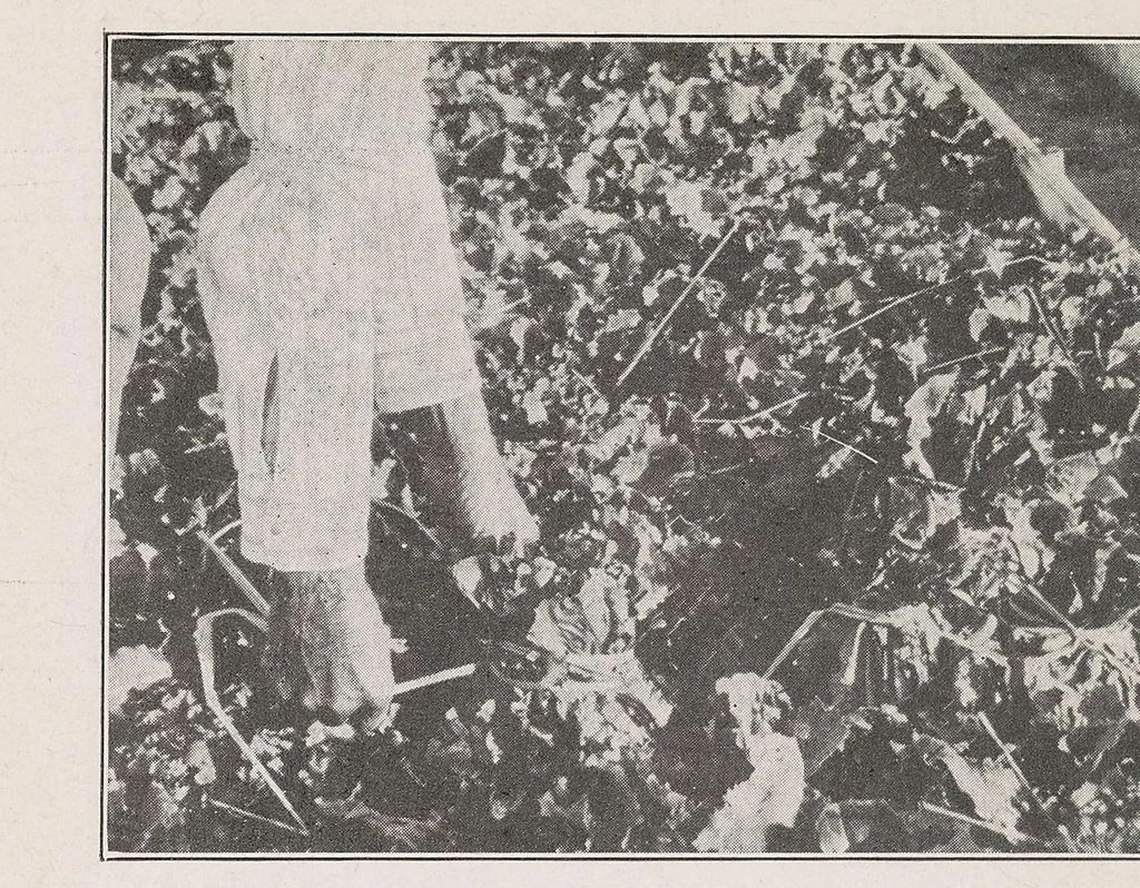 An illustration from Home vegetable gardening from A to Z, with special reference to Pacific coast conditions, 1918, leaf 222