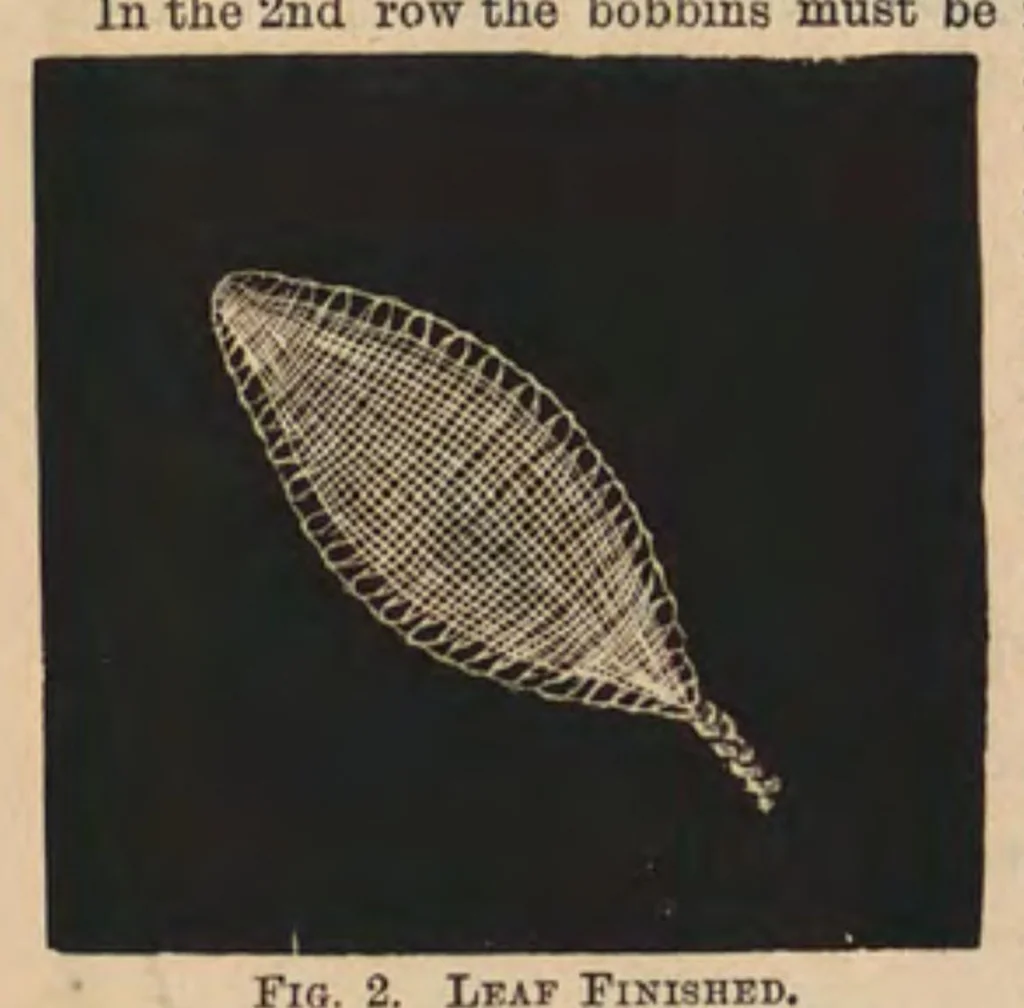 An illustration from The Honiton lace book, 1875, leaf 14