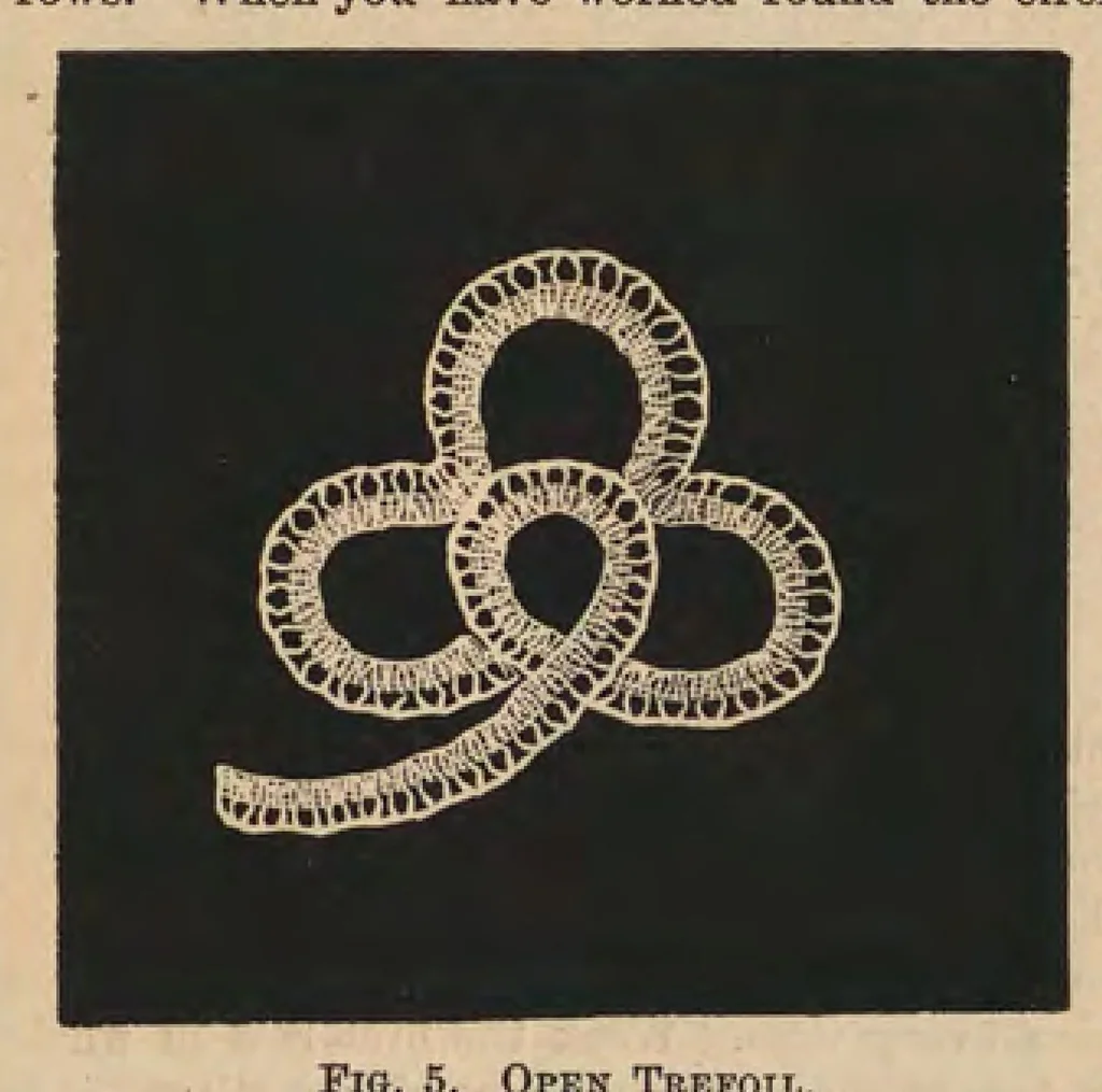 An illustration from The Honiton lace book, 1875, leaf 18