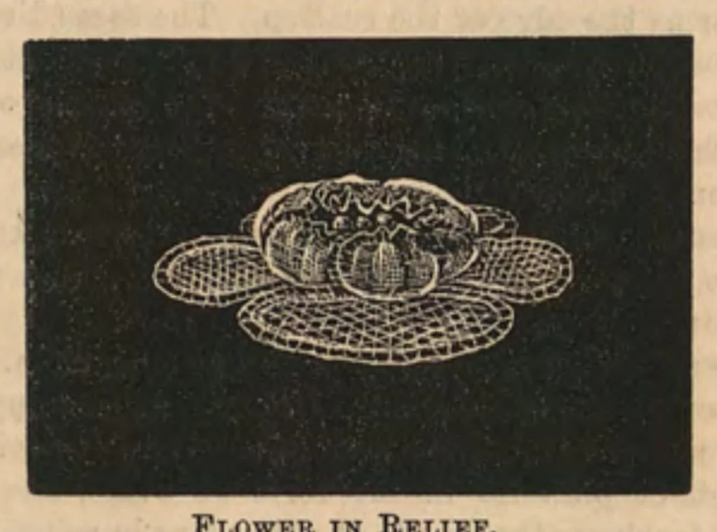 An illustration from The Honiton lace book, 1875, leaf 74