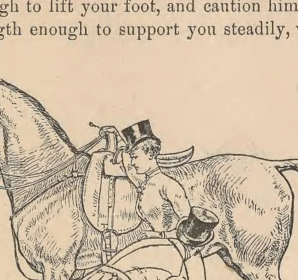 An illustration from Horsemanship for women, 1887, leaf 107