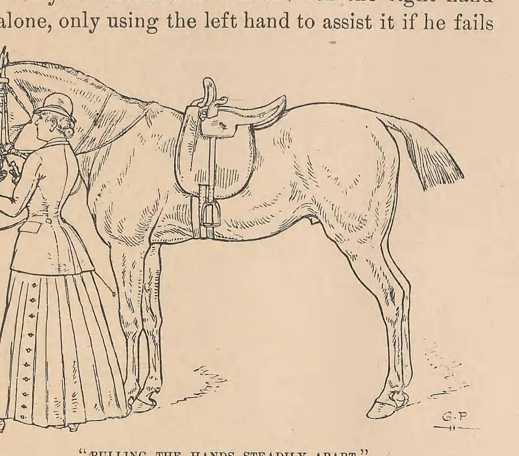 An illustration from Horsemanship for women, 1887, leaf 45