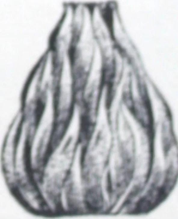 An illustration from Illustrated catalog of ornamental spun and stamped shells and fittings for gas and electric fixtures manufactured by the Standard Metal Spinning Co., 1914, leaf 24