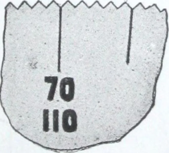 An illustration from Illustrated catalogue and price-list of drawing and tracing papers, sun print papers and equipments, drawing instruments and materials, surveying instruments, accessories, etc. / Kolesch & Company., 1917, leaf 86