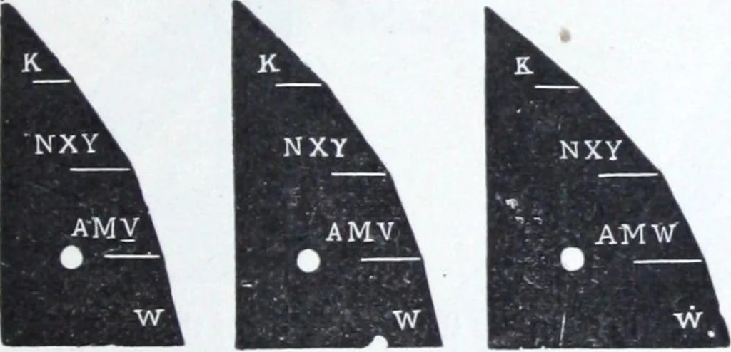 An illustration from Illustrated catalogue and price-list of drawing and tracing papers, sun print papers and equipments, drawing instruments and materials, surveying instruments, accessories, etc. / Kolesch & Company., 1907, leaf 110