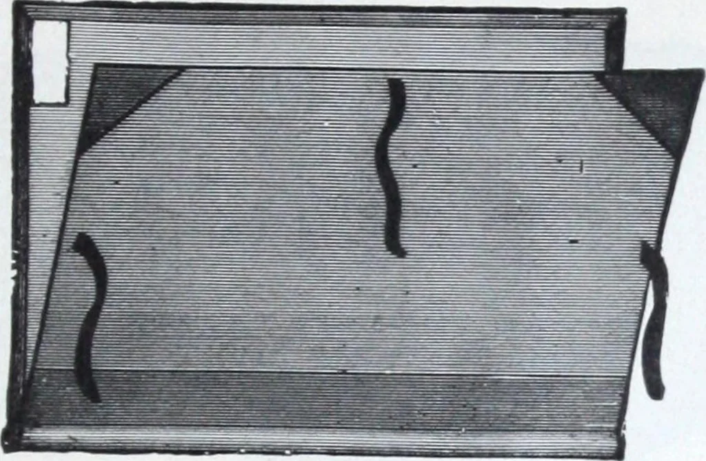 An illustration from Illustrated catalogue and price-list of drawing and tracing papers, sun print papers and equipments, drawing instruments and materials, surveying instruments, accessories, etc. / Kolesch & Company., 1907, leaf 164