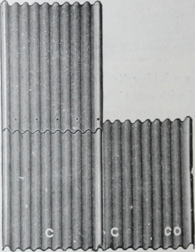 An illustration from Illustrated catalogue of the Cincinnati Corrugating Co. ... : superior corrugated and other sheet metal building material., 1893, leaf 9
