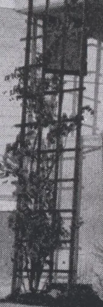 An illustration from The famous fifty and other favorite homes, 1916, leaf 72