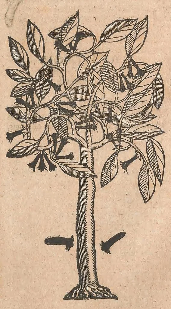 An illustration from Ioannis Evsebii Nierembergii ... Historia natvrae, maxime peregrinae, libris XVI. distincta. In quibus rarissima naturae arcana, etiam astronomica, & ignota indiarum animalia, quadrupedes, aues, pisces ... describuntur ... Accedunt de miris & miraculosis naturis in Europâ libri duo: item de iisdem in terrâ Hebraeis promissâ liber vnus, 1635, leaf 385