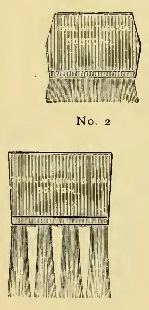 An illustration from The Whiting Brushes, 1901, leaf 25