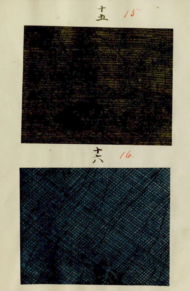 An illustration from [Japanese textile designs], 1700, leaf 11