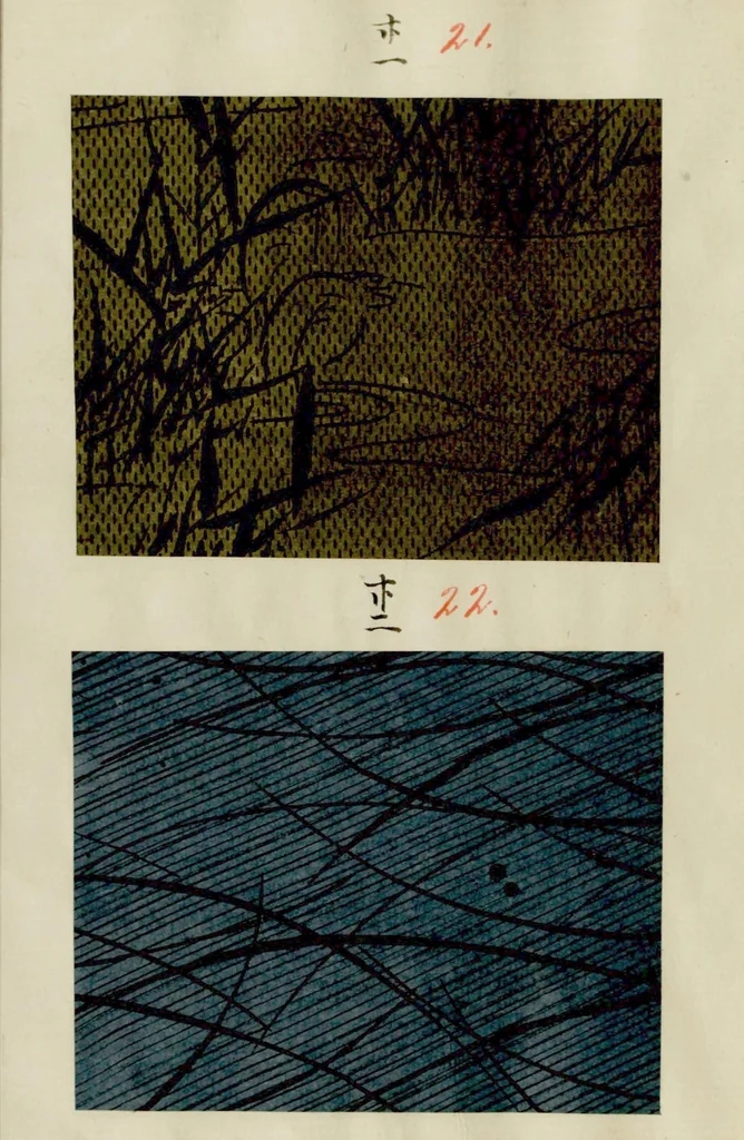 An illustration from [Japanese textile designs], 1700, leaf 14