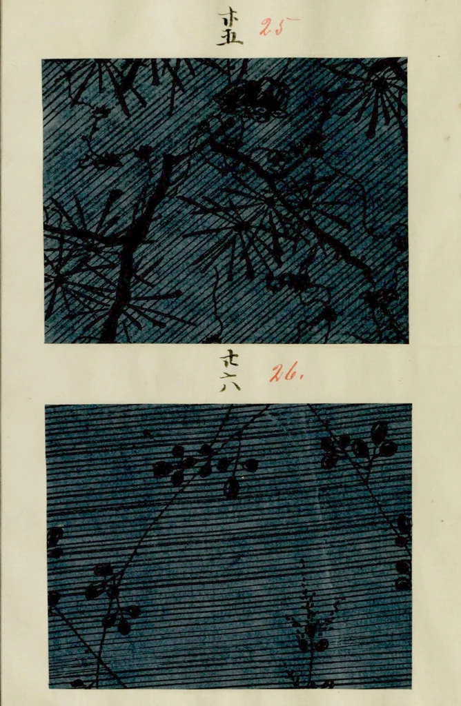 An illustration from [Japanese textile designs], 1700, leaf 16