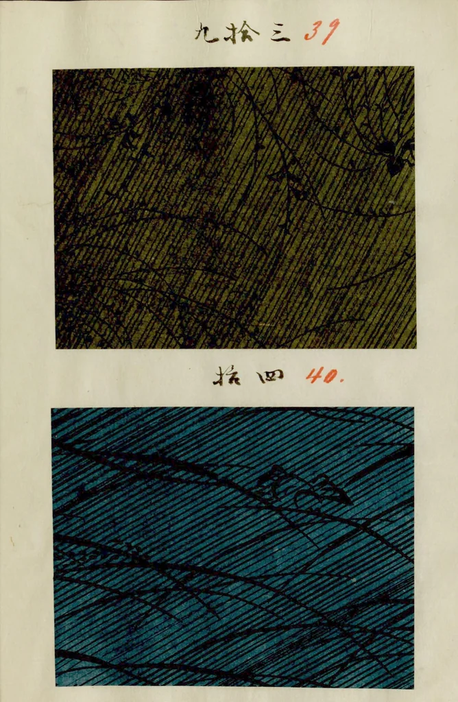 An illustration from [Japanese textile designs], 1700, leaf 23