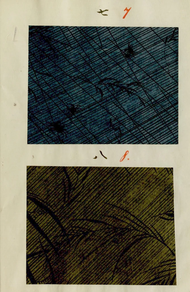 An illustration from [Japanese textile designs], 1700, leaf 7