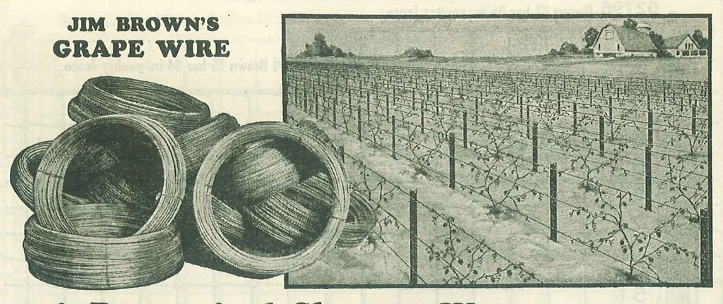 An illustration from Jim Brown's 1926 bargain book., 1926, leaf 59