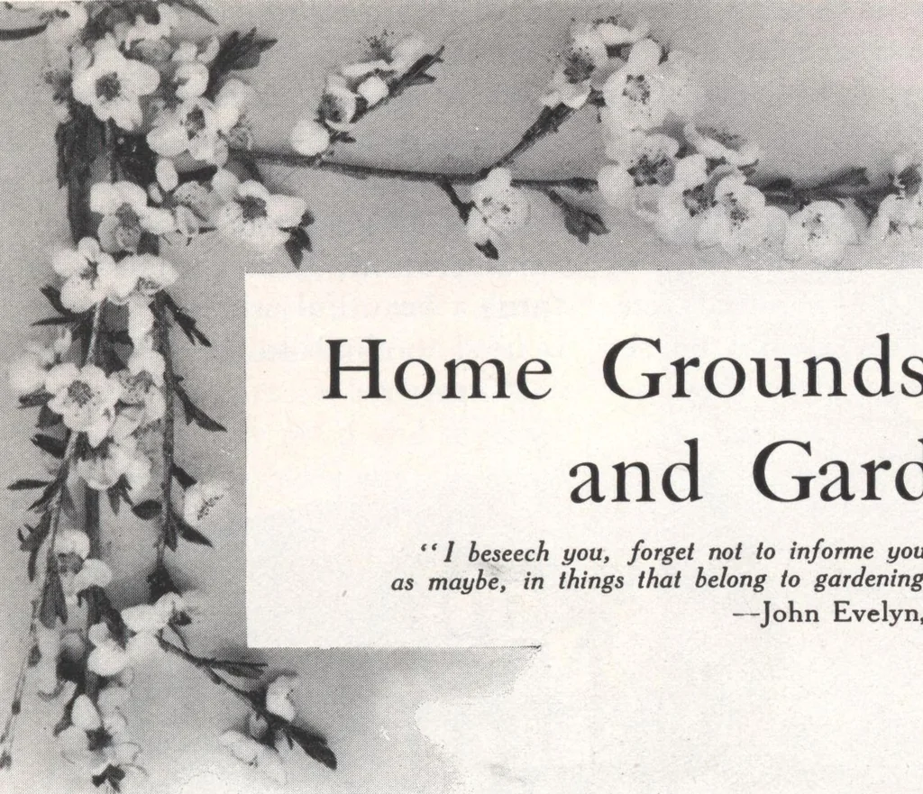 An illustration from Keith's magazine, June 1913, 1913, leaf 16