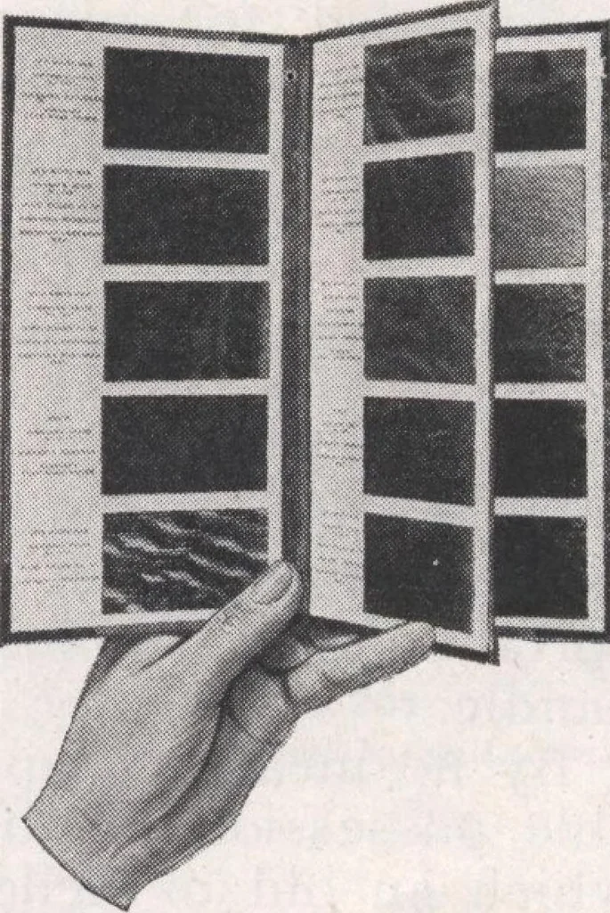 An illustration from Keith's magazine, June 1913, 1913, leaf 42