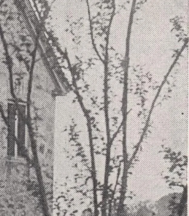 An illustration from Keith's magazine, october 1917, 1917, leaf 32
